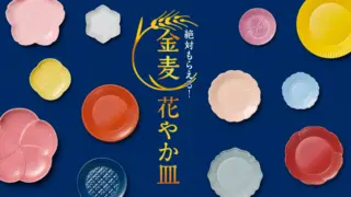 レシートと皿＋花と皿　３０秒