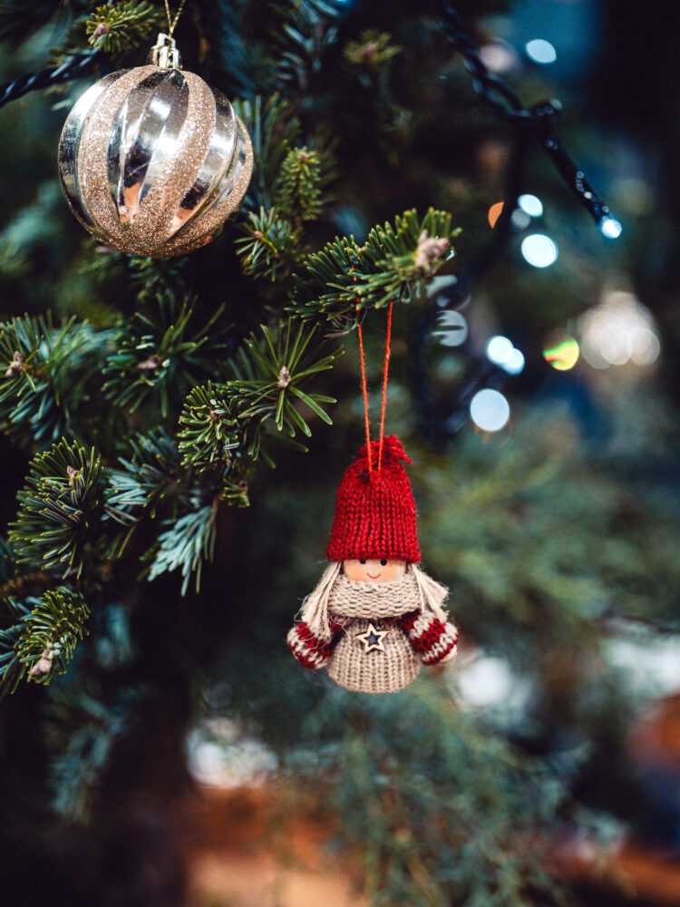 Flower＆Green 25年12月号