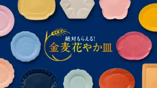 ２３センチのお皿＋絶対もらえるお皿　３０秒