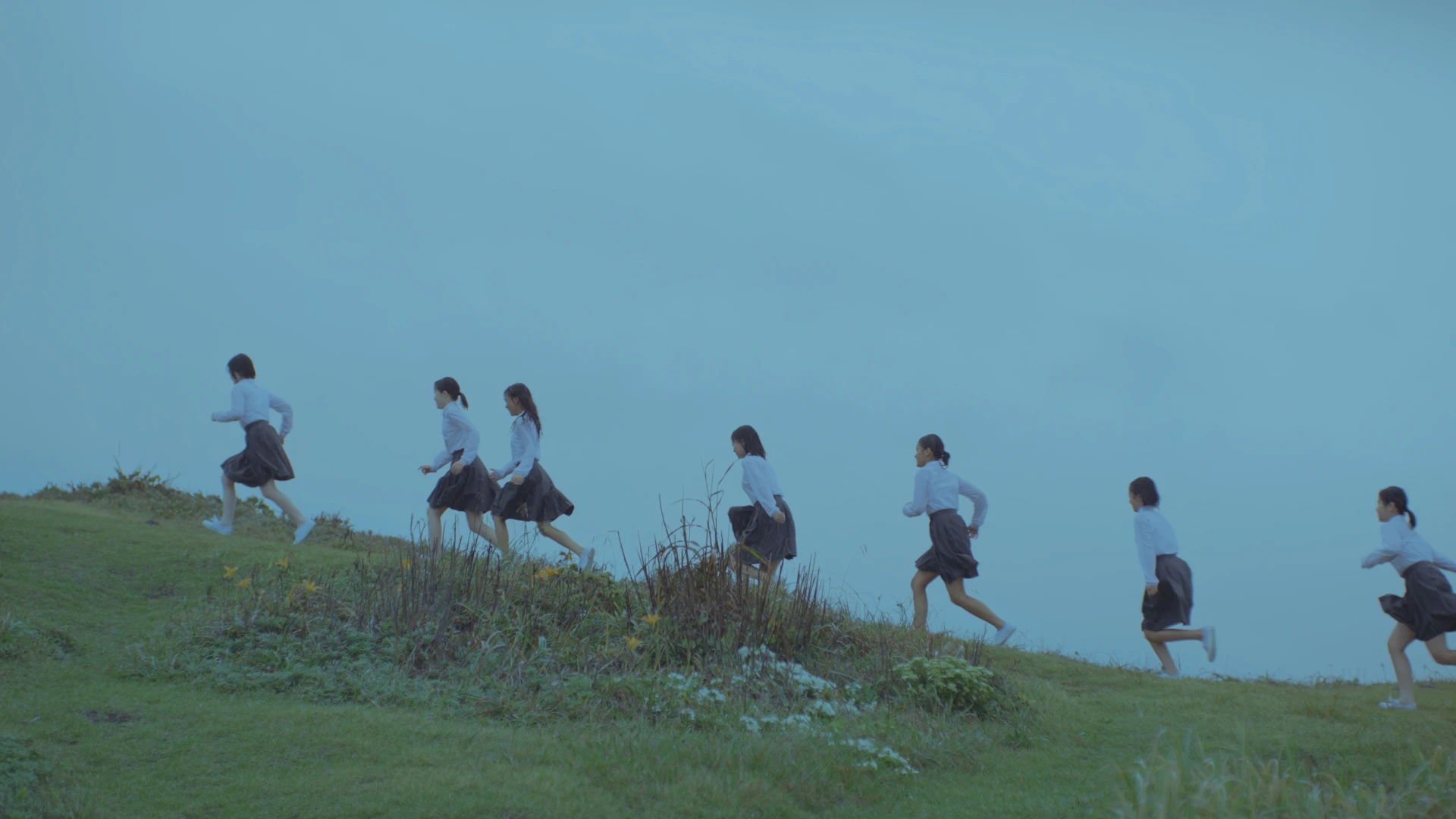 Sweet William – Westward