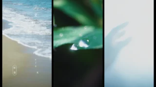 「朝露」